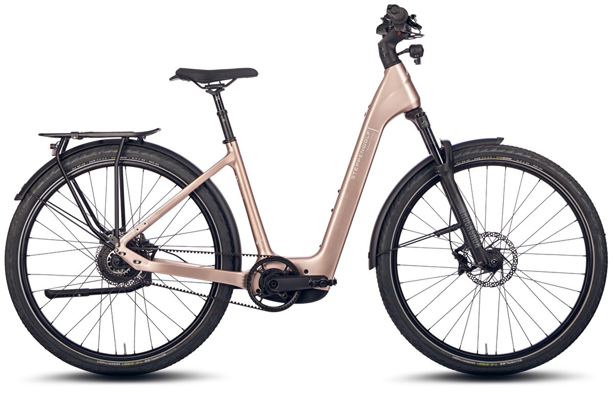 elektrokolo STEPPENWOLF Transterra Easy 9.0 Avinox (M) champagne gloss